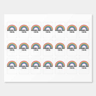 Sounds Gay Im In Rainbow Pride Month Gay Matchboxes