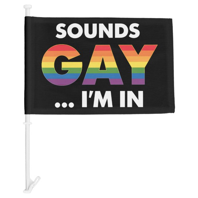 Sounds Gay I'm Rainbow LGBTQ Pride Car Flag (Front)