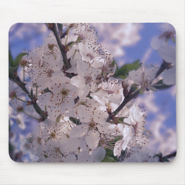 Sour Cherry Tree Blue Sky Mouse Pad (Front)