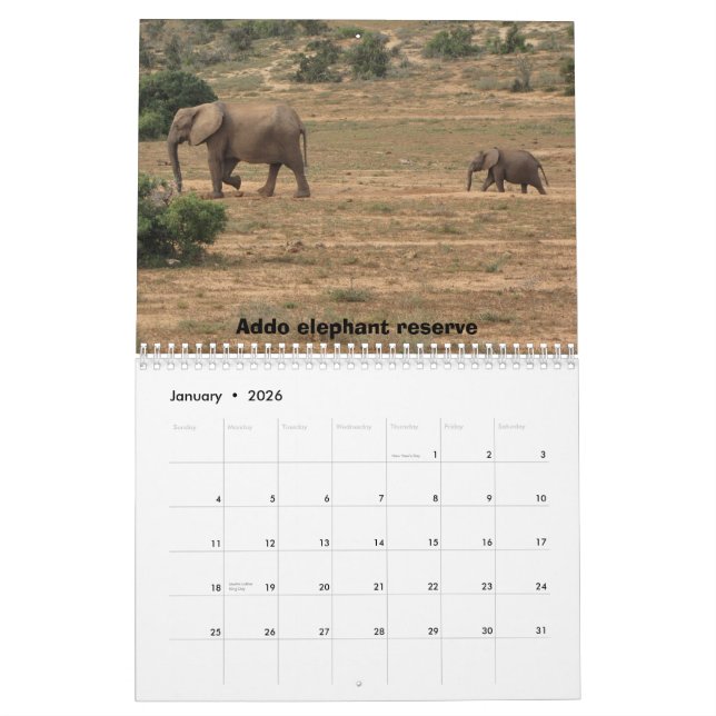 South Africa 2011 Calendar (Jan 2026)
