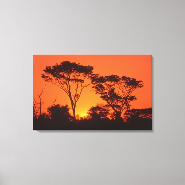 South Africa.  African sunset. Canvas Print (Front)