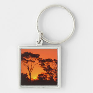 South Africa. African sunset. Keychain