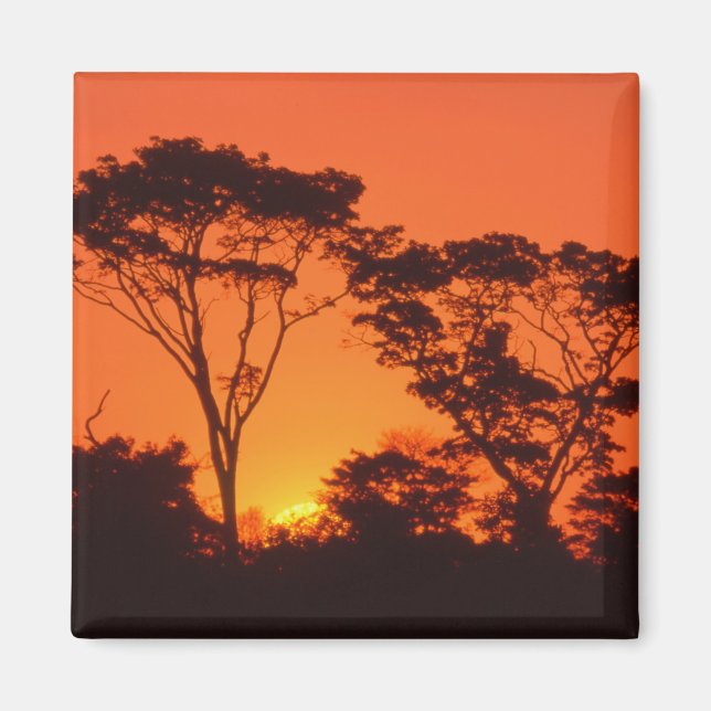 South Africa.  African sunset. Magnet (Front)