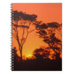 South Africa.  African Sunset. Notebook at Zazzle