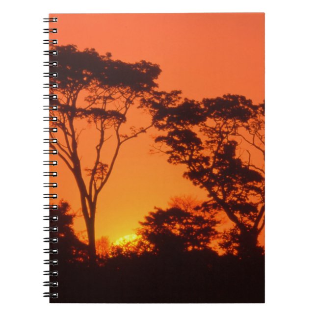 South Africa.  African sunset. Notebook (Front)
