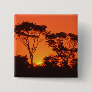 South Africa. African sunset. Pinback Button