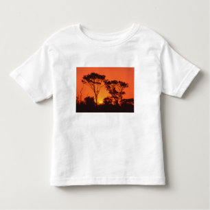 South Africa. African sunset. Toddler T-shirt