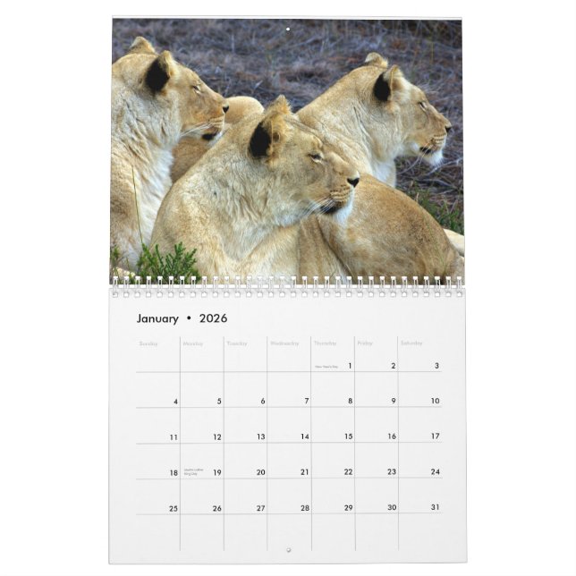 South Africa Calendar (Jan 2026)