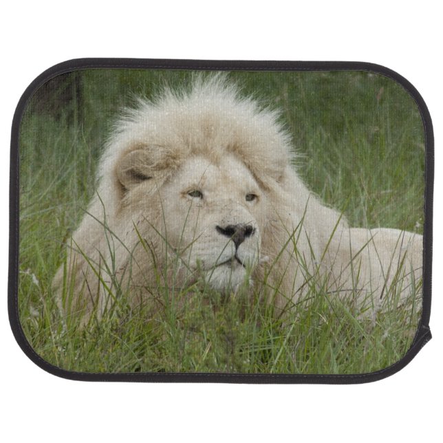 South Africa, East London, Inkwenkwezi Private Car Mat (Rear)
