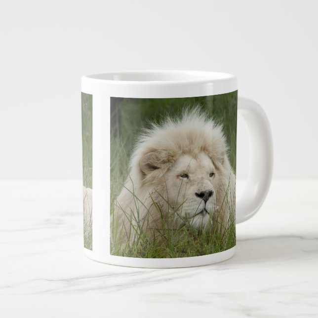 South Africa, East London, Inkwenkwezi Private Large Coffee Mug (Front Right)