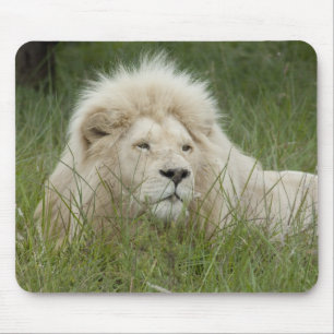 South Africa, East London, Inkwenkwezi Private Mouse Pad