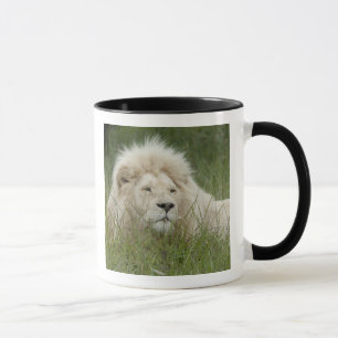 South Africa, East London, Inkwenkwezi Private Mug