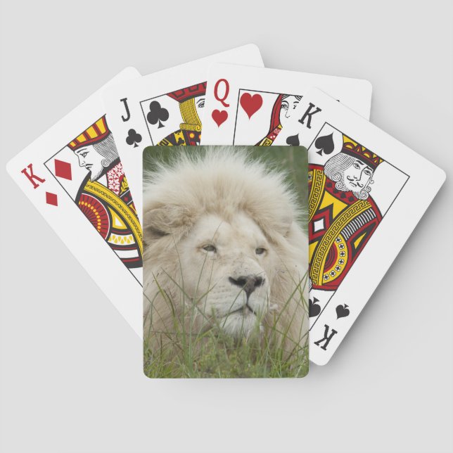 South Africa, East London, Inkwenkwezi Private Poker Cards (Back)
