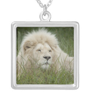 South Africa, East London, Inkwenkwezi Private Silver Plated Necklace