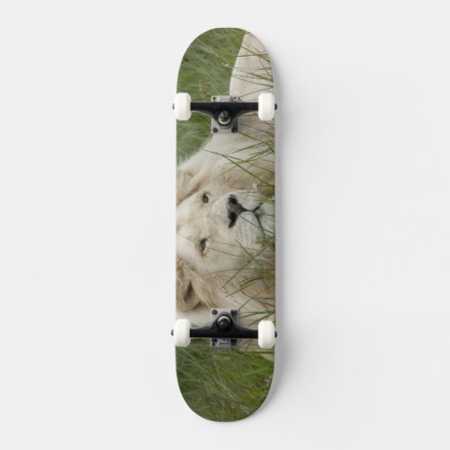 South Africa East London Inkwenkwezi Private Skateboard Deck