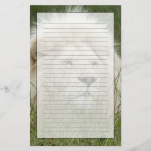 South Africa, East London, Inkwenkwezi Private Stationery