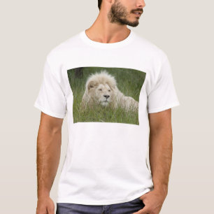 South Africa, East London, Inkwenkwezi Private T-Shirt