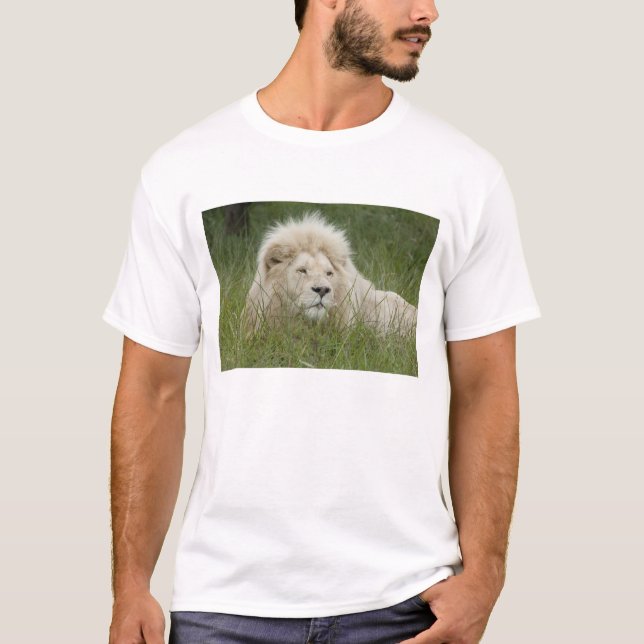 South Africa, East London, Inkwenkwezi Private T-Shirt (Front)