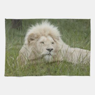 South Africa, East London, Inkwenkwezi Private Towel