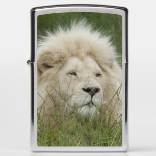 South Africa, East London, Inkwenkwezi Private Zippo Lighter