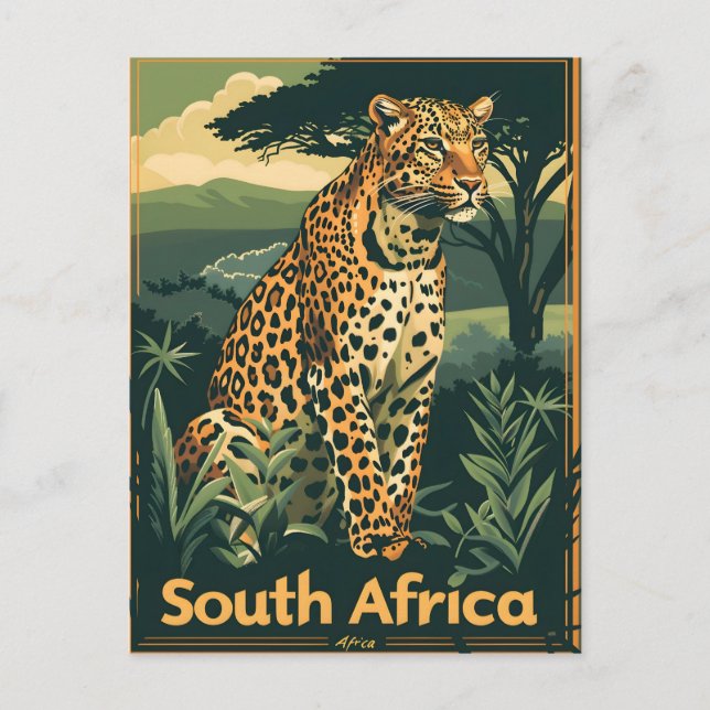 South Africa Leopard Vintage Postcard (Front)