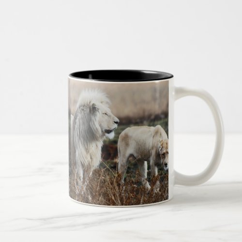 South Africa Lion as king Two_Tone Coffee Mug