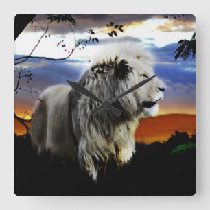 South Africa Lion in the Jungle Square Wall Clock