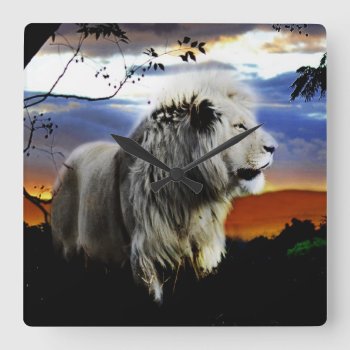 South Africa Lion In The Jungle Square Wall Clock by laureenr at Zazzle