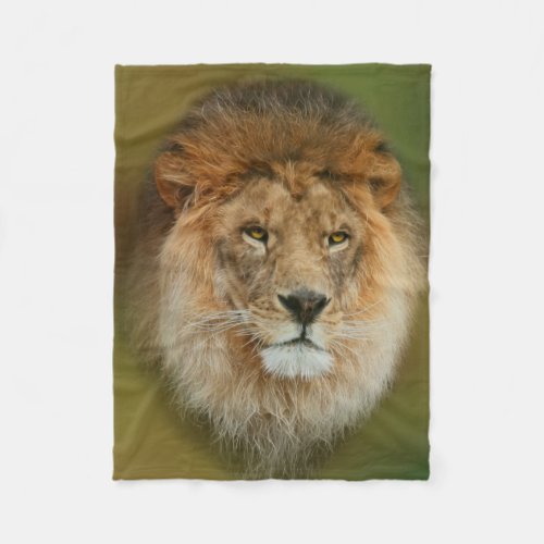 South Africa Majestic Lion Close up Fleece Blanket