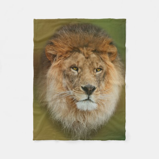 South Africa Majestic Lion Close up Fleece Blanket (Front)