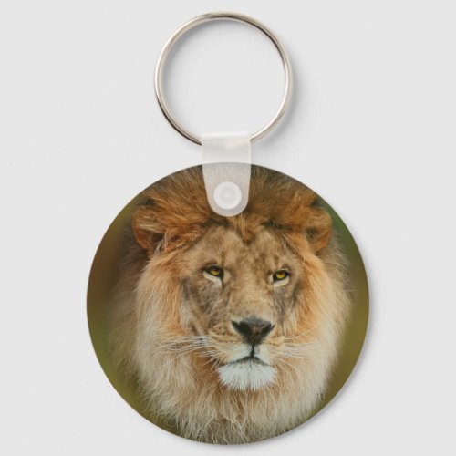South Africa Majestic Lion Close up Keychain