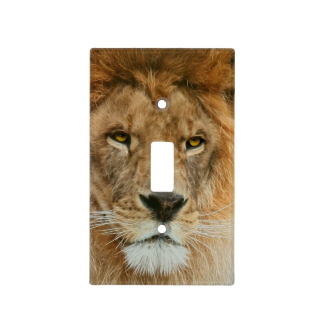 South Africa Majestic Lion Close up Light Switch Cover (Front)