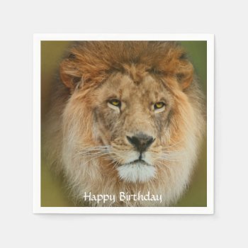 South Africa Majestic Lion Close Up Paper Napkins by laureenr at Zazzle