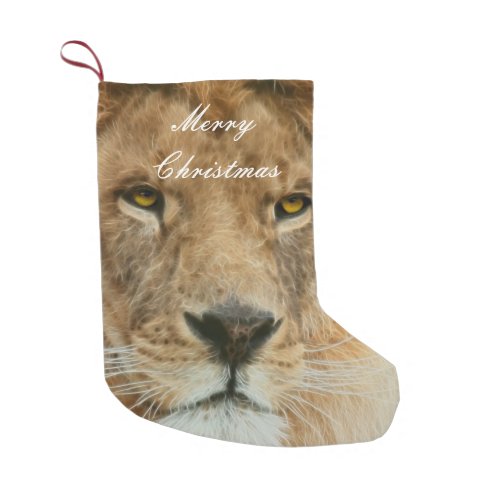South Africa Majestic Lion Close up Small Christmas Stocking
