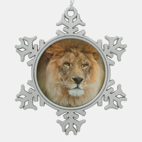 South Africa Majestic Lion Close up Snowflake Pewter Christmas Ornament