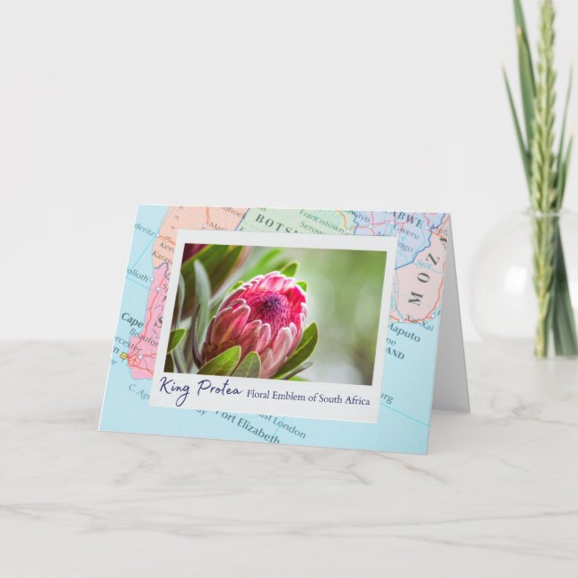 South Africa Pink King Protea Floral Emblem on Map Card (Front)