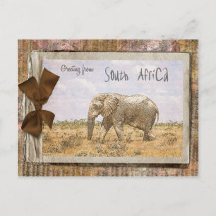 South Africa Postcard