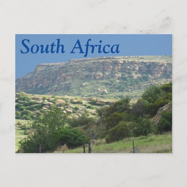 South Africa Postcard (Front)