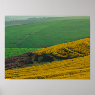 South Africa Rural Landscape Canola Fields Poster
