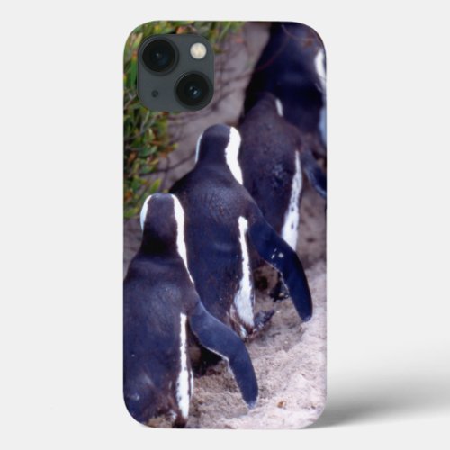 South Africa Simons Town Follow the leader iPhone 13 Case