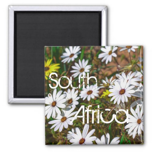 South Africa Velddrif West Coast Wild Flowers Magnet