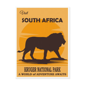 South Africa Vintage National Park Lion Travel Postcard