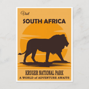 South Africa Vintage National Park Lion Travel Postcard