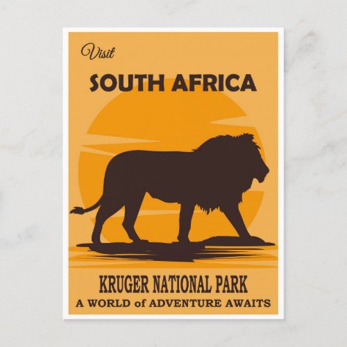 South Africa Vintage National Park Lion Travel Postcard