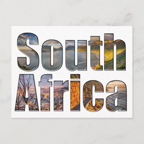 South Africa Vintage Zebra Travel Postcard