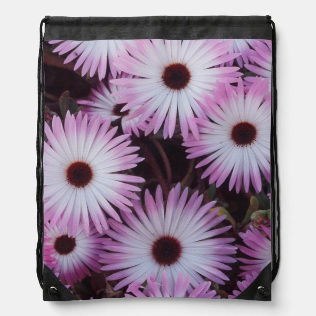 South Africa, Western Cape Province Drawstring Bag (Front)