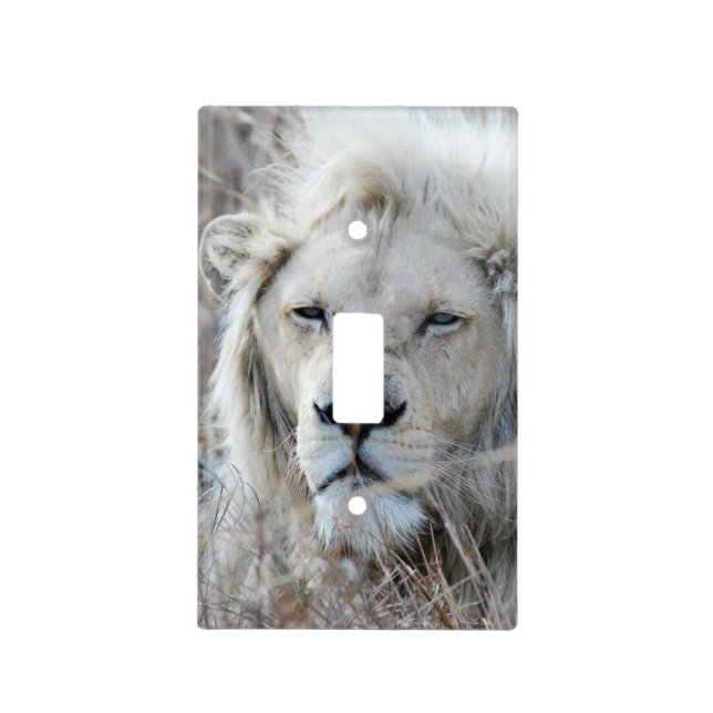 South Africa White Lion resting Light Switch Cover (Front)