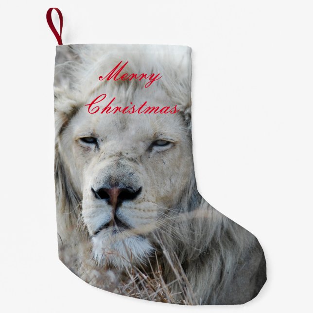 South Africa White Lion resting Small Christmas Stocking (Front)