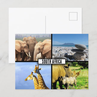 South Africa Wildlife Photo Collage Postcard