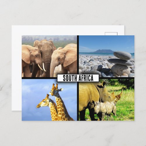 South Africa Wildlife Photo Collage Postcard